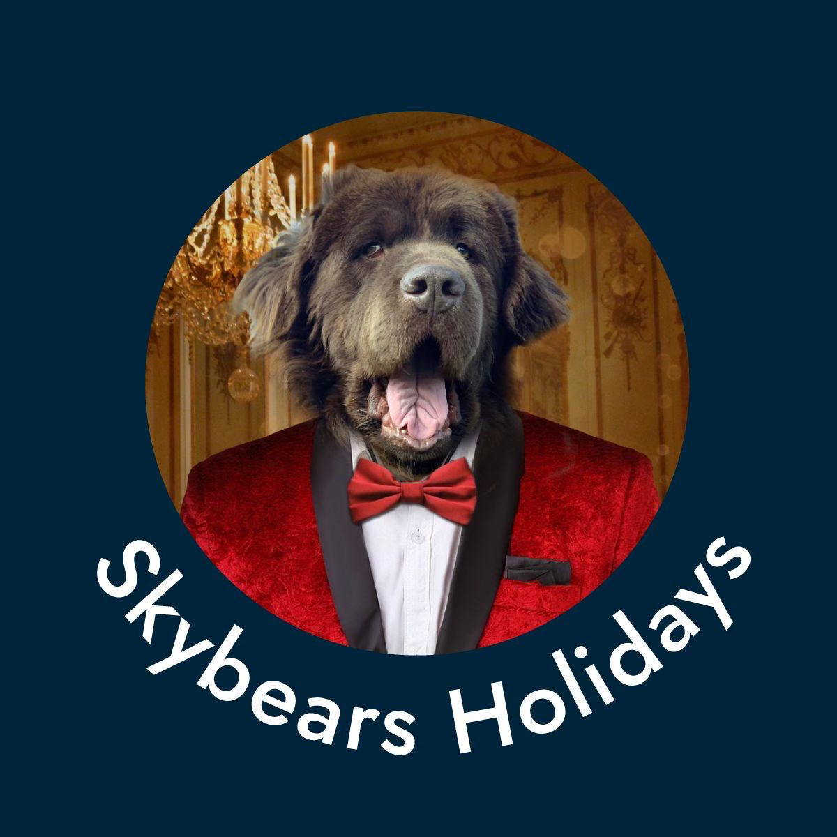 SkyBears Holidays logo